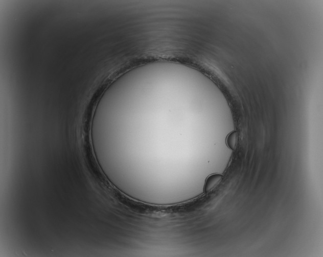 X0000089940635200706290816