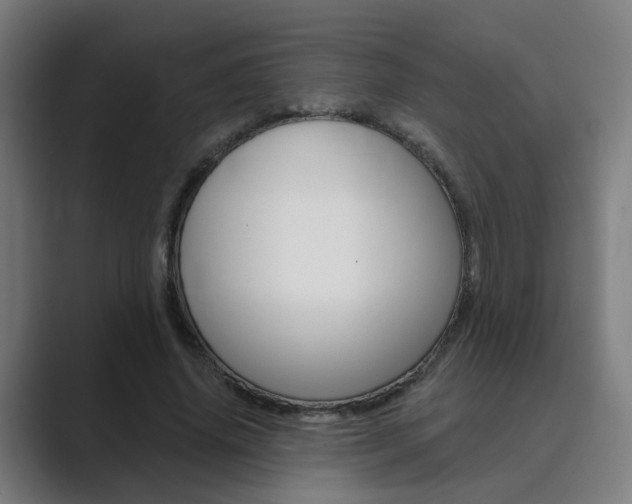 X0000089940636200706290816