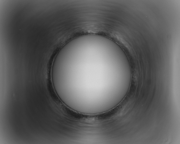 X0000089940639200706290816