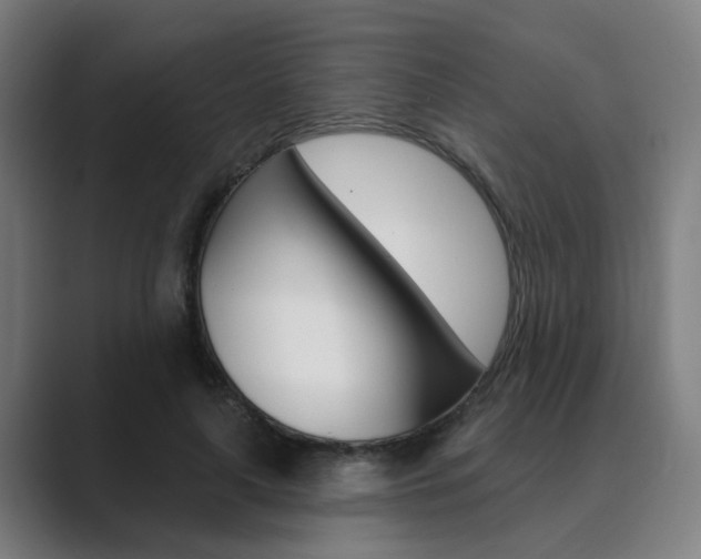 X0000089940643200706290816