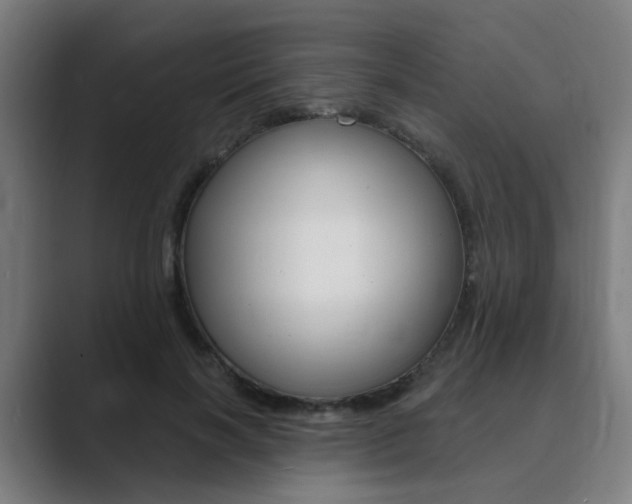 X0000089940646200706290816