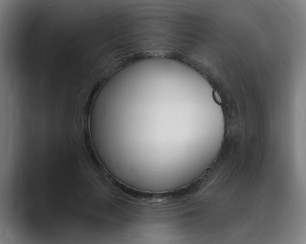 X0000089940647200706290816