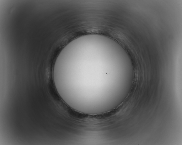 X0000089940648200706290816