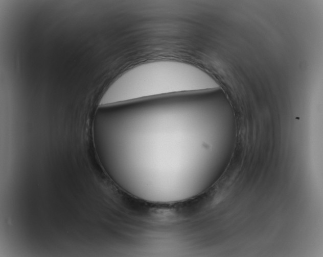 X0000089940649200706290816