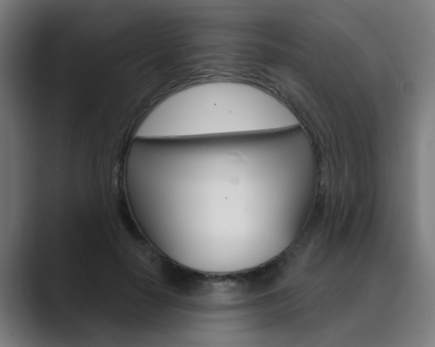 X0000089940650200706290816
