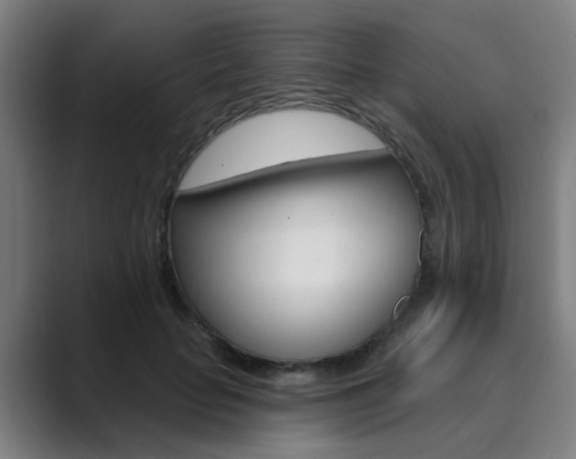X0000089940653200706290816