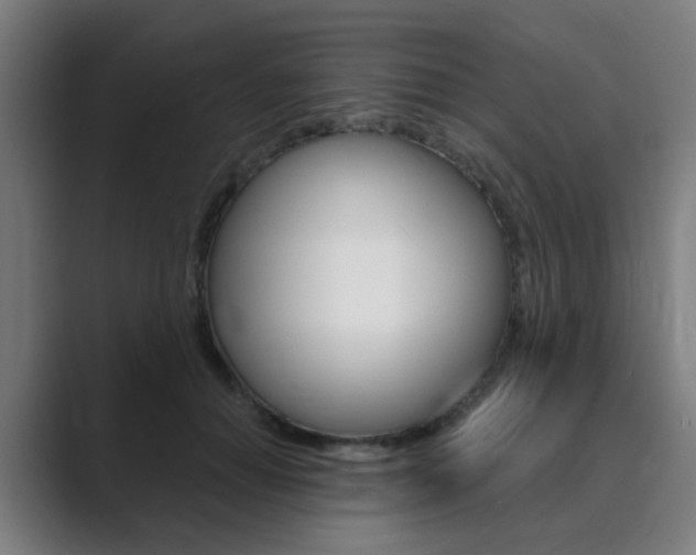 X0000089940654200706290816