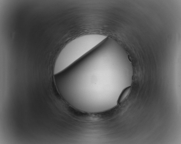 X0000089940656200706290816
