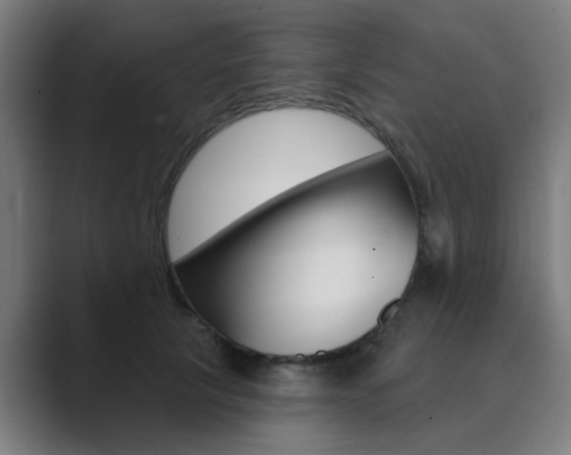 X0000089940657200706290816