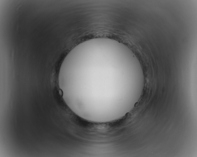 X0000089940659200706290816