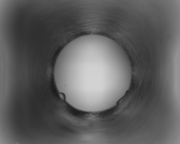 X0000089940660200706290816