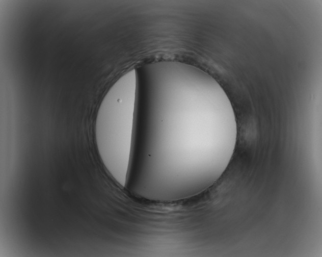X0000089940661200706290816