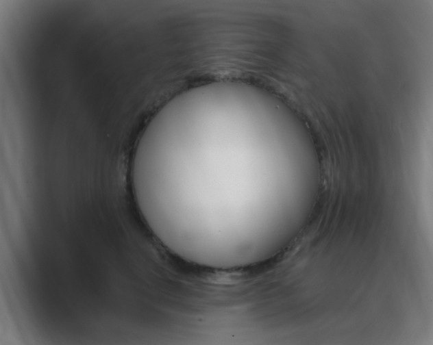 X0000089940664200706290816