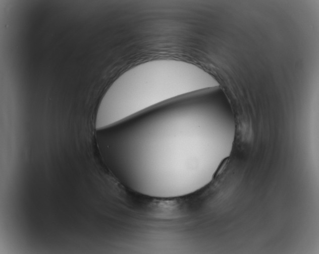 X0000089940665200706290816