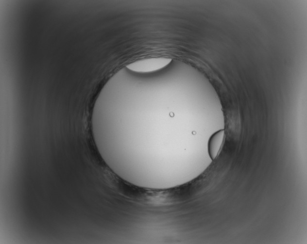 X0000089940667200706290816