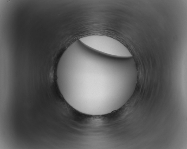 X0000089940668200706290816