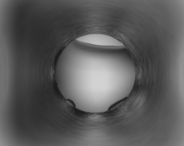 X0000089940669200706290816