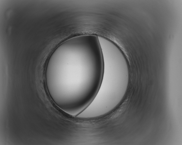X0000089940673200706290816