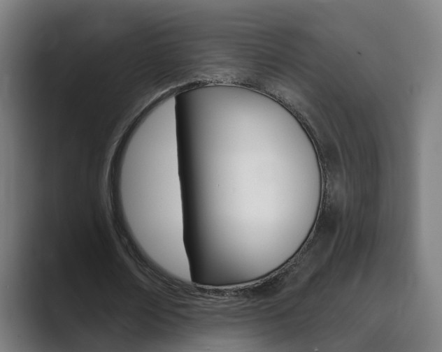 X0000089940674200706290816