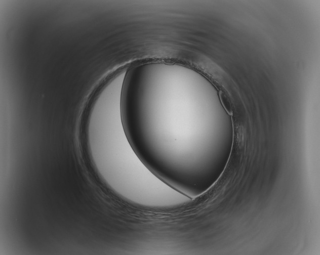 X0000089940676200706290816