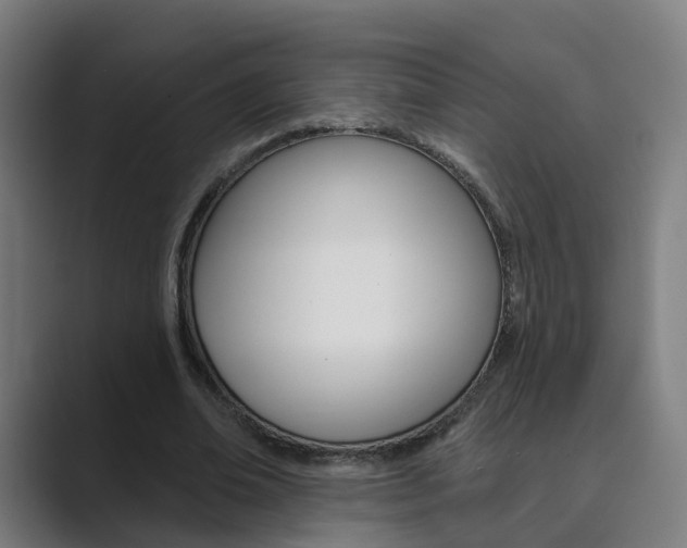 X0000089940678200706290816