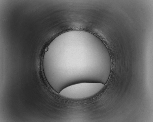 X0000089940679200706290816