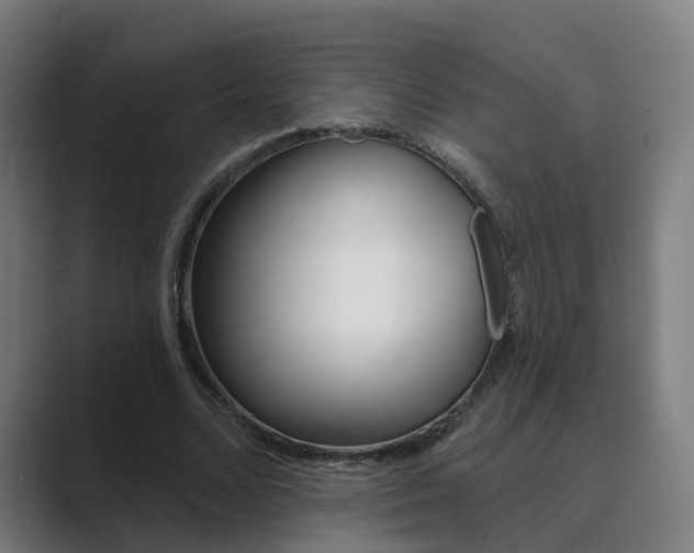 X0000089940680200706290816