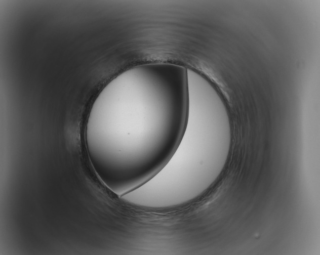 X0000089940681200706290816