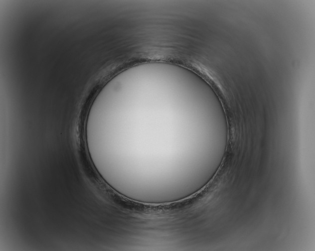 X0000089940682200706290816
