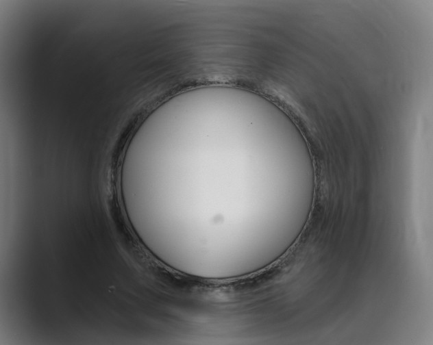 X0000089940683200706290816