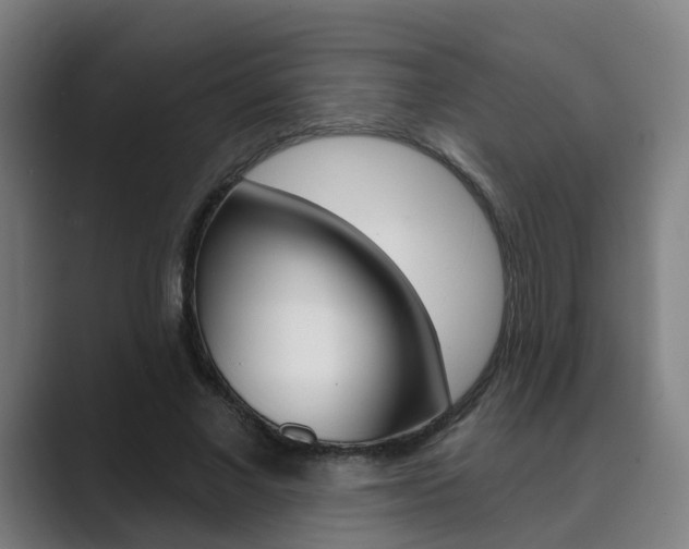 X0000089940685200706290816