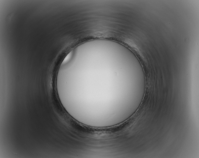 X0000089940686200706290816