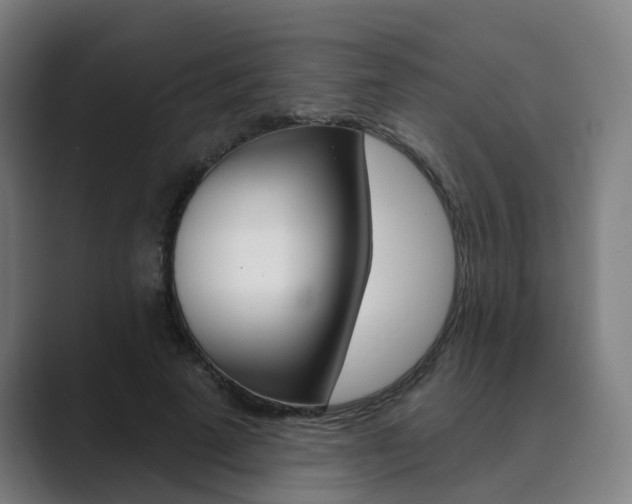 X0000089940689200706290816