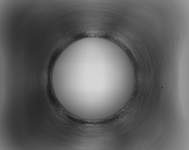 X0000089940690200706290816
