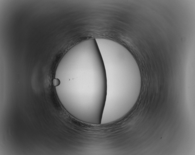 X0000089940691200706290816