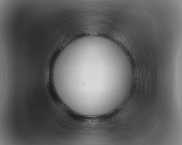 X0000089940694200706290816