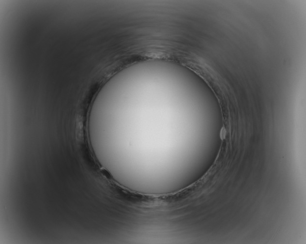 X0000089940696200706290816