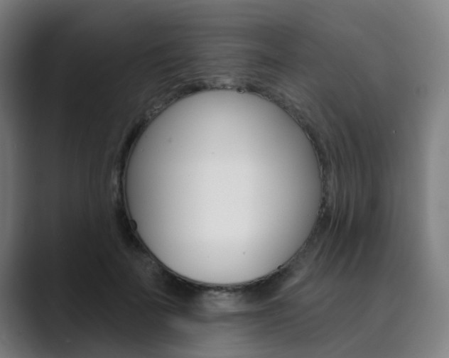 X0000089940699200706290816