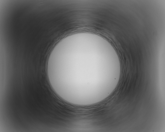 X0000089940701200706290815