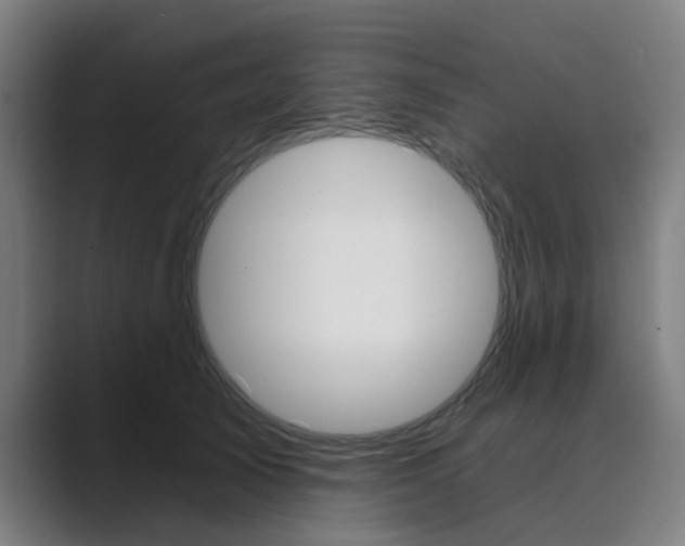 X0000089940705200706290815
