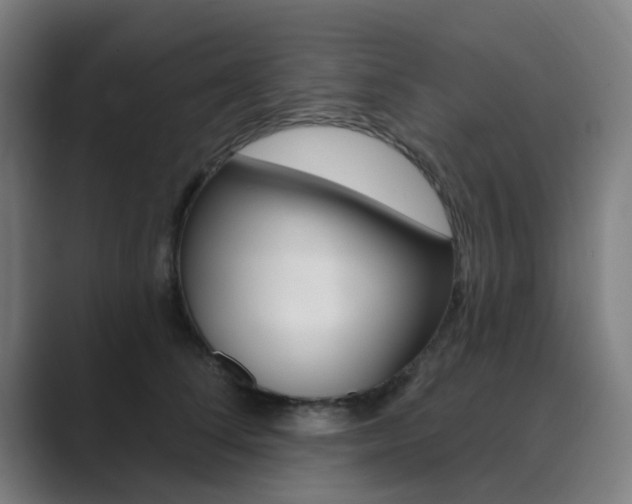 X0000089940708200706290815