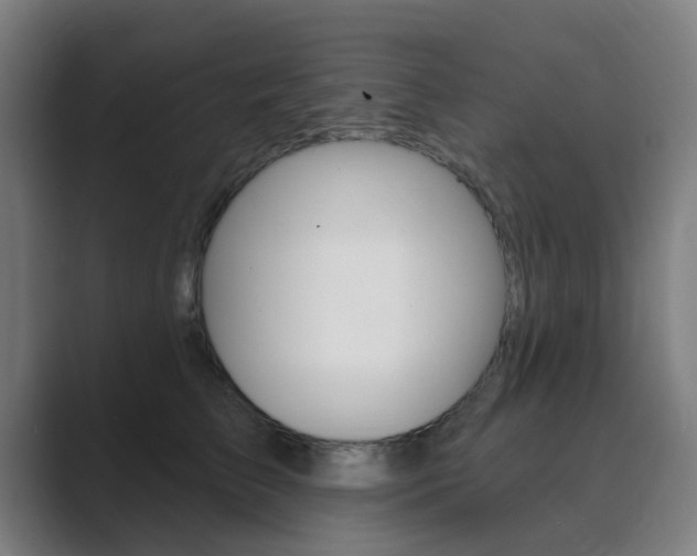 X0000089940709200706290815