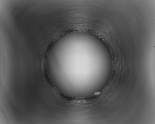 X0000089940712200706290815