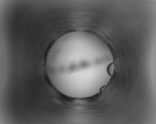 X0000089940714200706290815