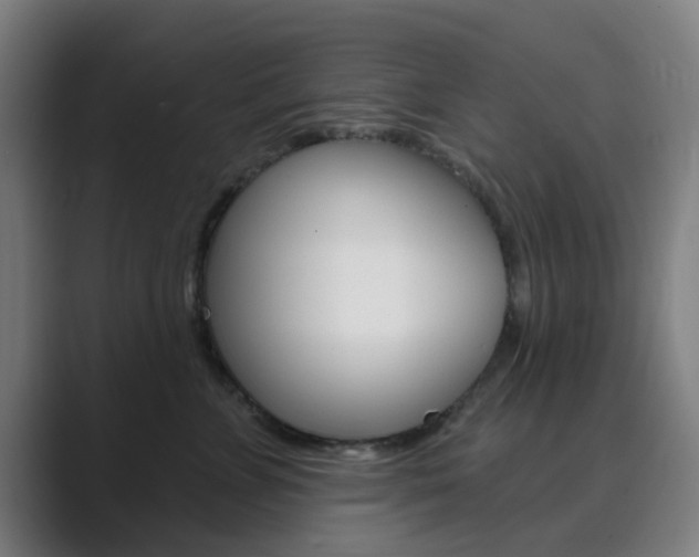 X0000089940715200706290815