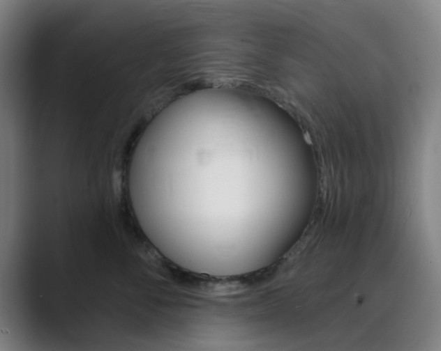 X0000089940716200706290815