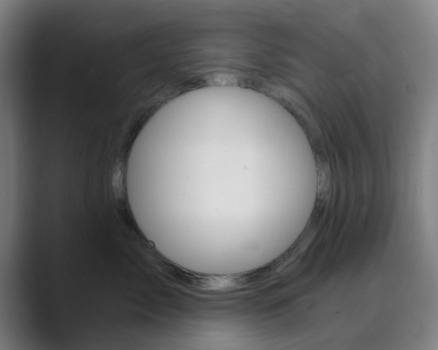X0000089940717200706290815