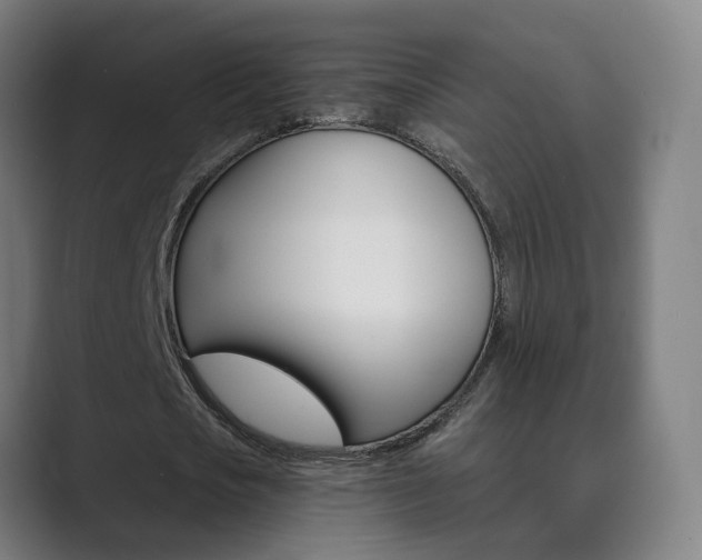 X0000089940721200706290815