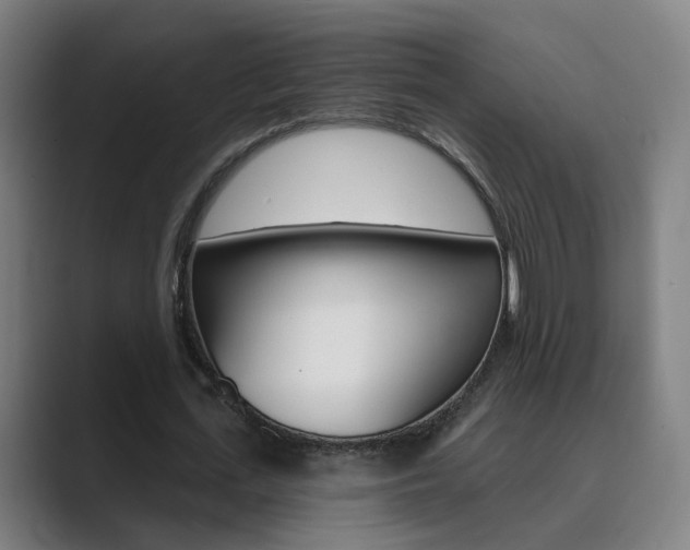 X0000089940723200706290815