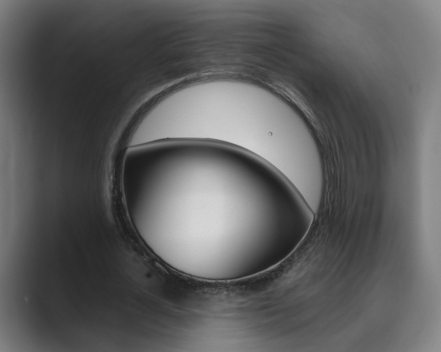 X0000089940724200706290815